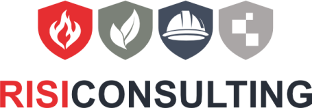 RISICONSULTING GmbH & Co. KG